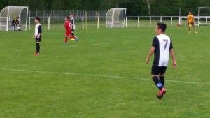 17884457_1477719042262576_4801099354333638856_n